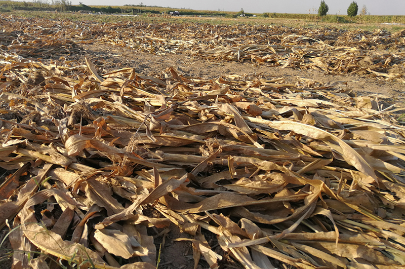 玉米桿-連續(xù)式炭化爐物