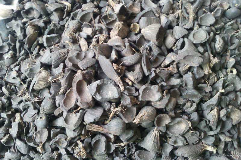 棕櫚殼-連續(xù)式炭化爐物