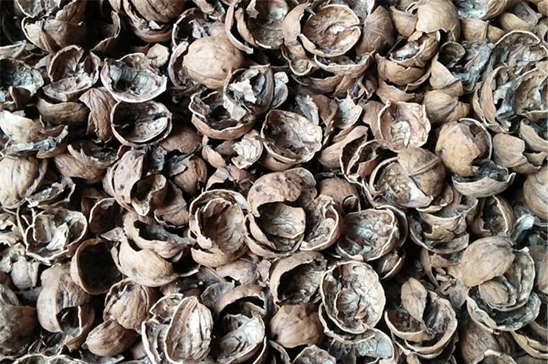 核桃殼-連續(xù)式炭化爐物