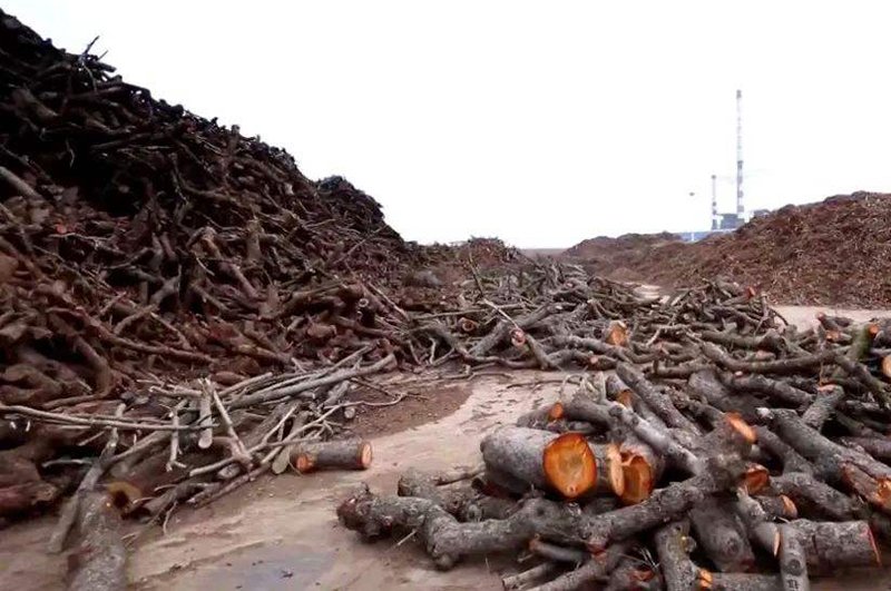 樹枝連續(xù)式炭化爐物料