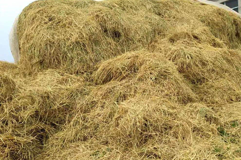 秸稈能做炭？秸稈炭化能做什么？秸稈連續(xù)式炭化爐前景如何？