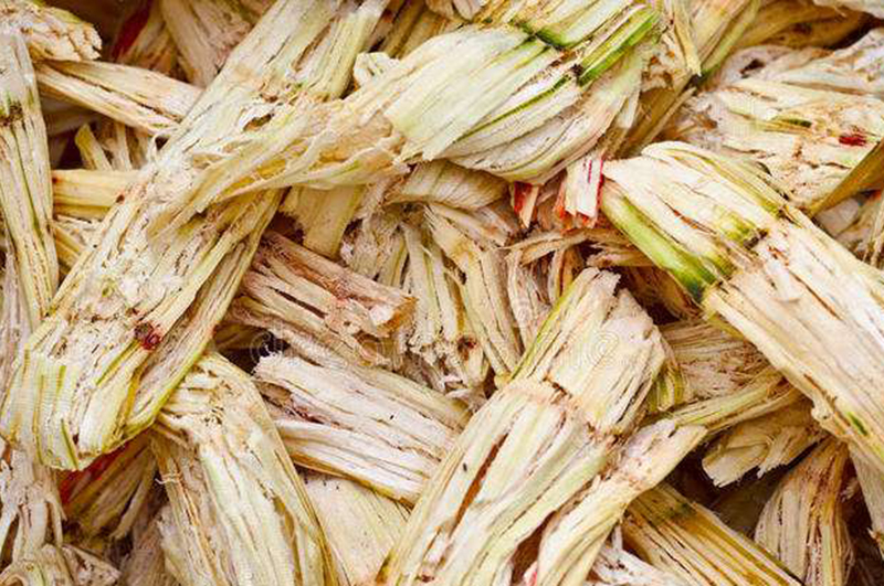 糖廠廢料甘蔗渣都有哪些用途呢？