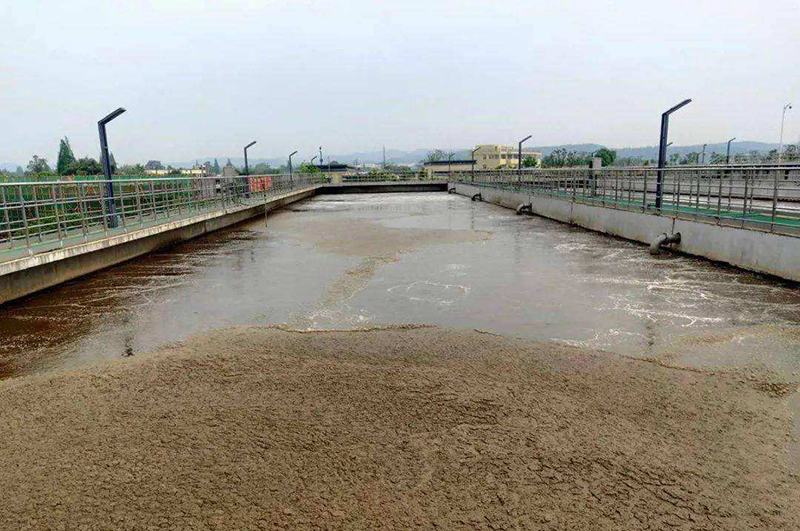 城市生活污泥處理工程成本高嗎，能有利潤嗎？