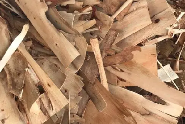 利用桉樹皮制備碳粉的原理及過程