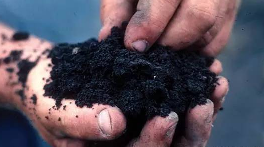 像桉樹皮，杉木皮這樣的原料，空隙大，重量輕，適用于深加工制作活性炭等。