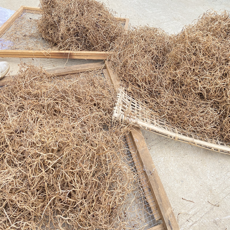 <strong>瓜秧的新價值：變身生物質(zhì)碳</strong>