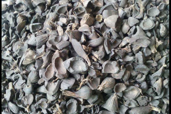 生物質(zhì)原料熱解過(guò)程的奧秘