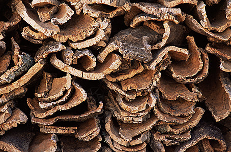 <strong>變廢為寶：樹(shù)皮碳化利潤(rùn)高</strong>