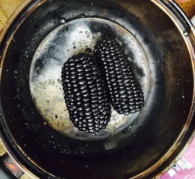 <strong> 生物質(zhì)碳化處理：科學(xué)與嚴(yán)謹(jǐn)?shù)霓D(zhuǎn)化之旅</strong>