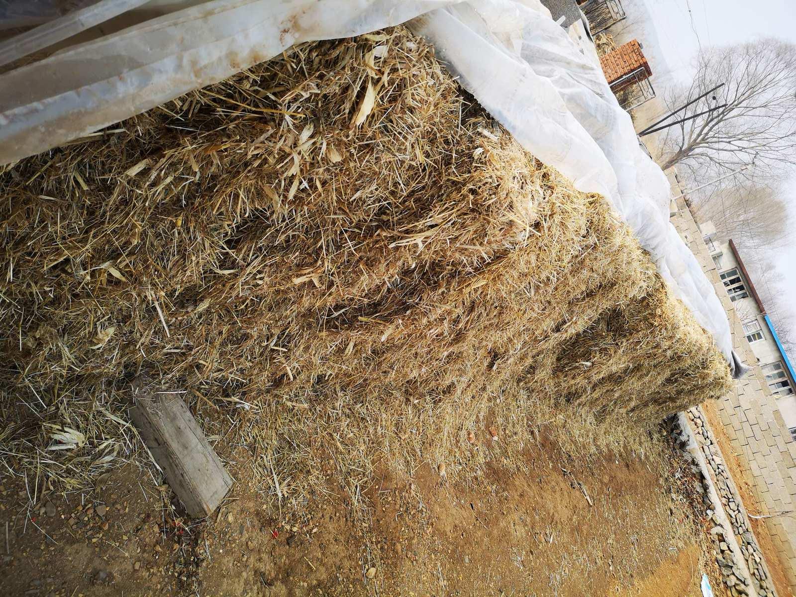 <strong>秸稈碳化：農田廢棄物利用新路徑</strong>