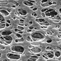 HPWP04700 Millipore Express親水性PES 0.45um,47mm表面濾膜