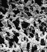 GSTF09000 MF-Millipore混合纖維素酯不含表面活性劑Triton 0.22um*90mm表面濾膜