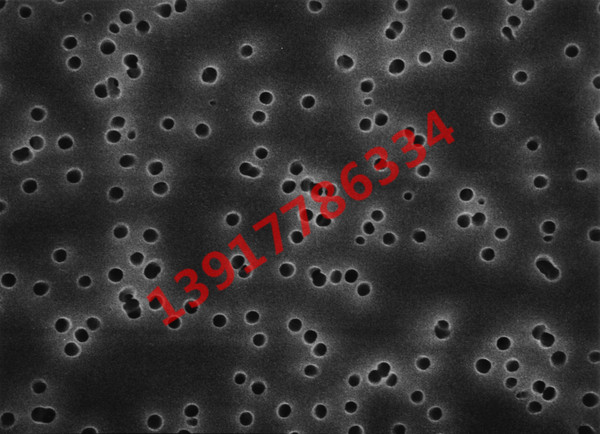 TETP01300 Millipore聚碳酸酯8um親水13mm白色光面生物分析表面濾膜 TETP01300 Millipore聚碳酸酯8um親水13mm白色光面生物分析表面濾膜