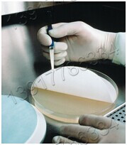 美國(guó)Merck Millipore默克密理博生命科學(xué)產(chǎn)品系列